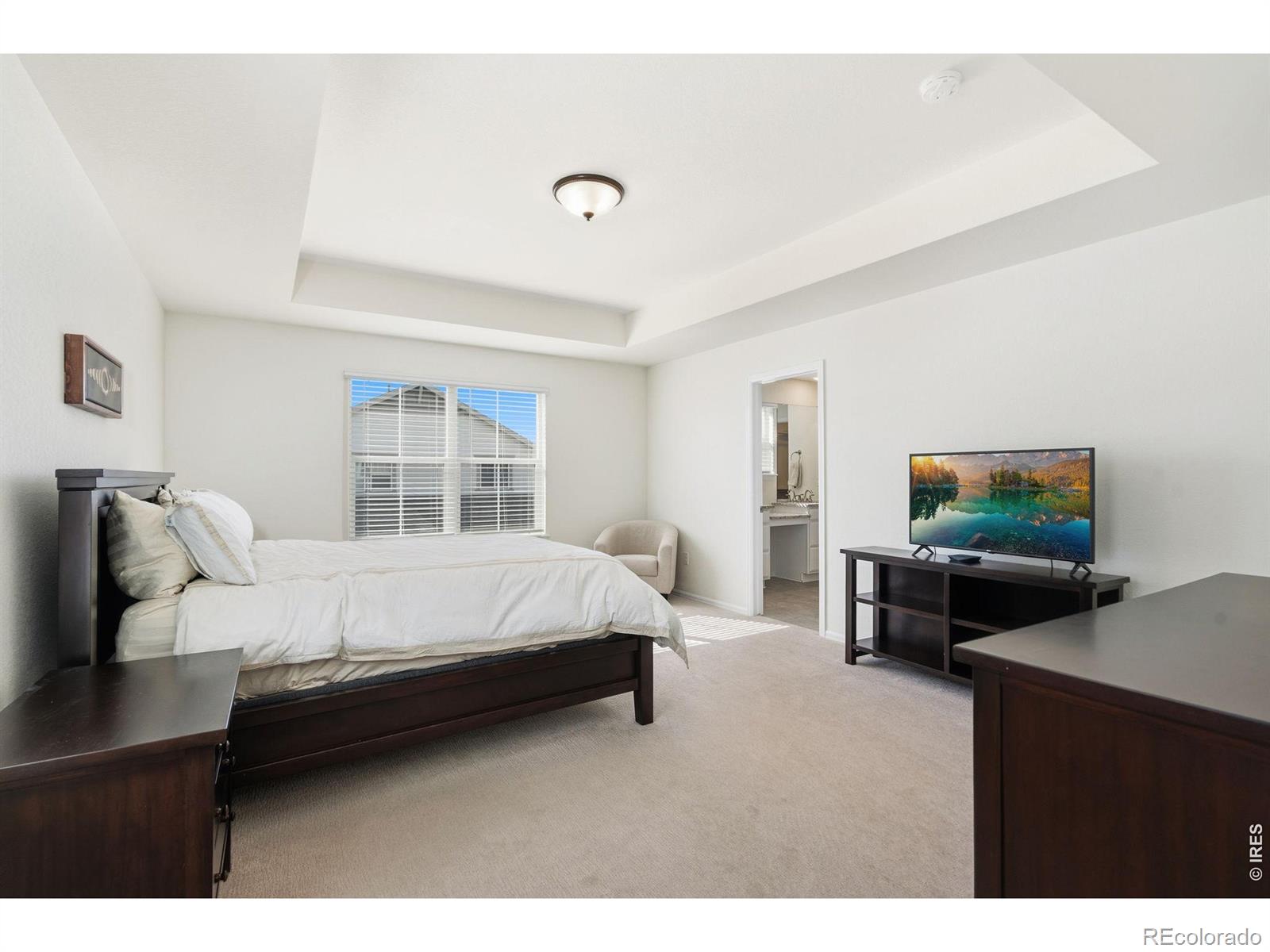 MLS Image #15 for 569  navion lane,fort collins, Colorado
