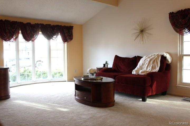 MLS Image #5 for 8002  field court,arvada, Colorado