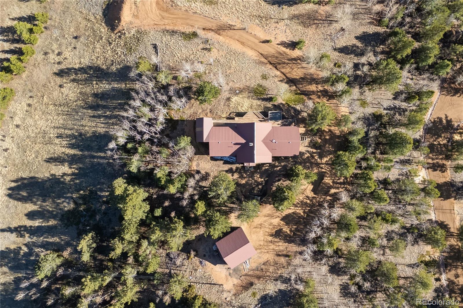 MLS Image #1 for 1008  cantiberry road,divide, Colorado