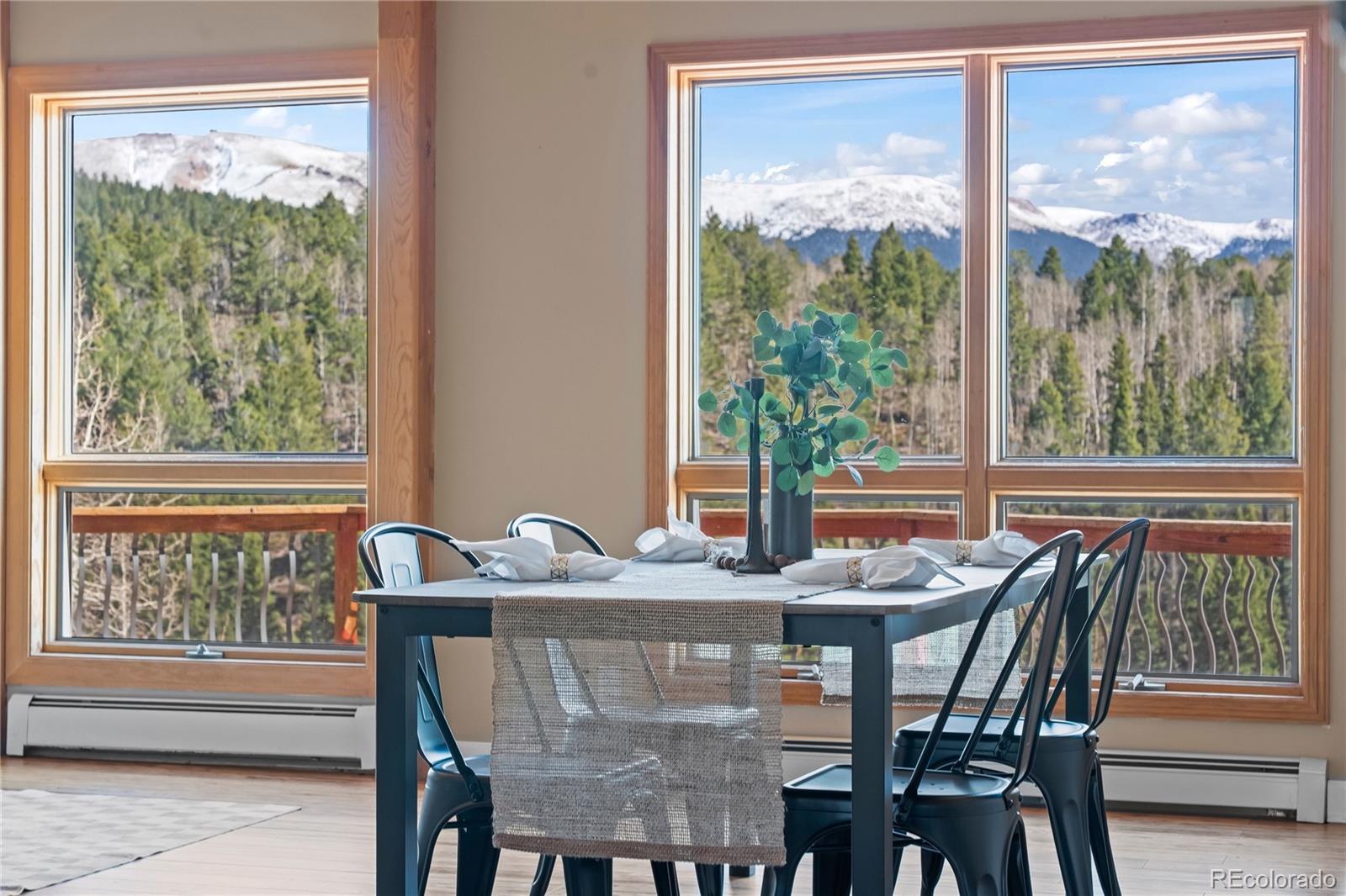 MLS Image #12 for 1008  cantiberry road,divide, Colorado