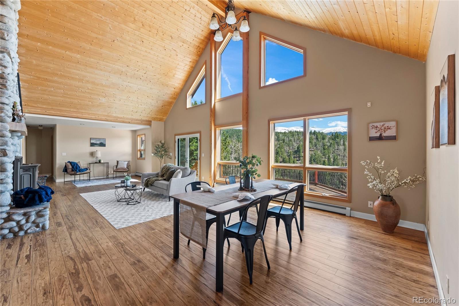 MLS Image #13 for 1008  cantiberry road,divide, Colorado