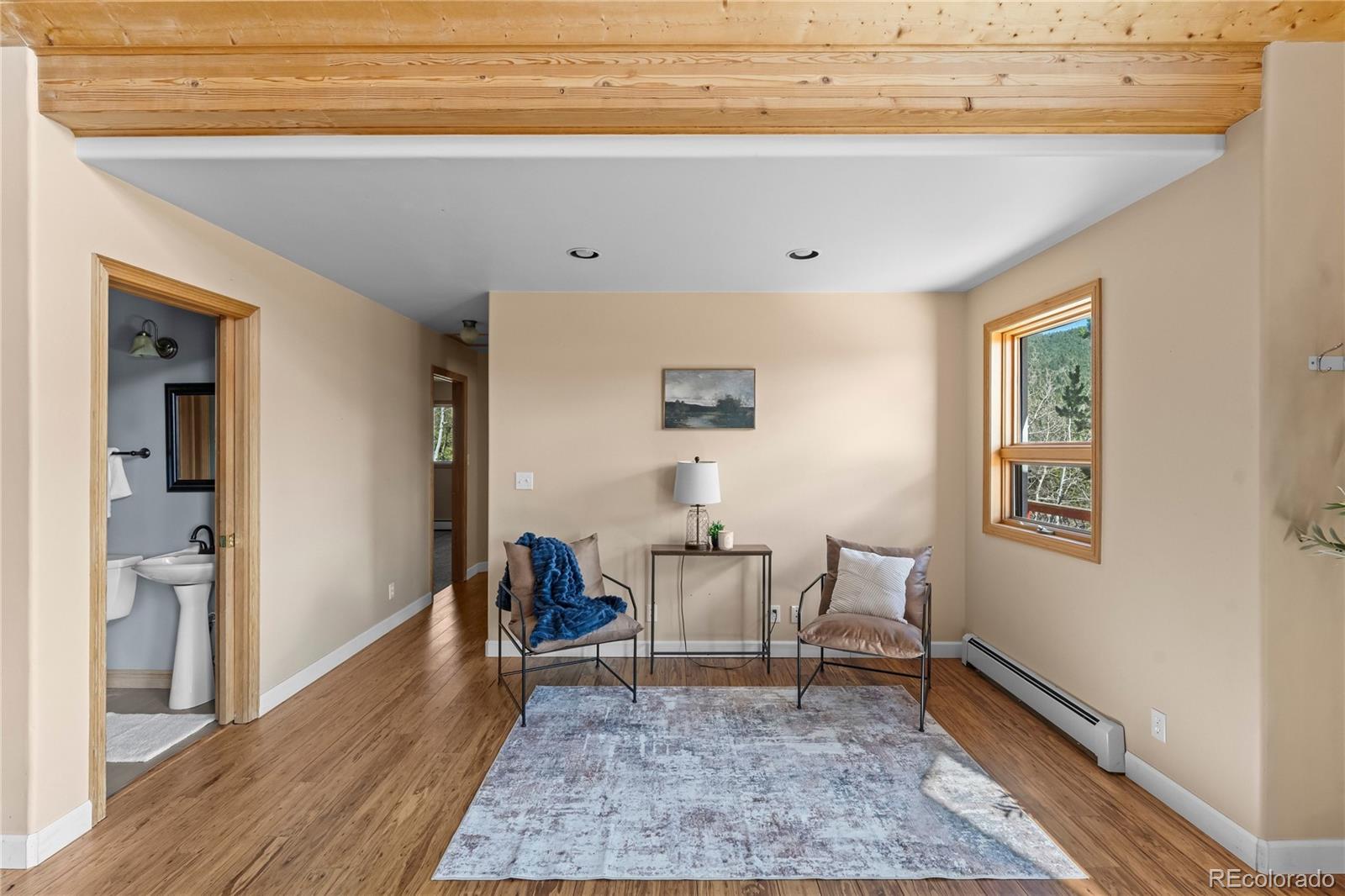 MLS Image #16 for 1008  cantiberry road,divide, Colorado