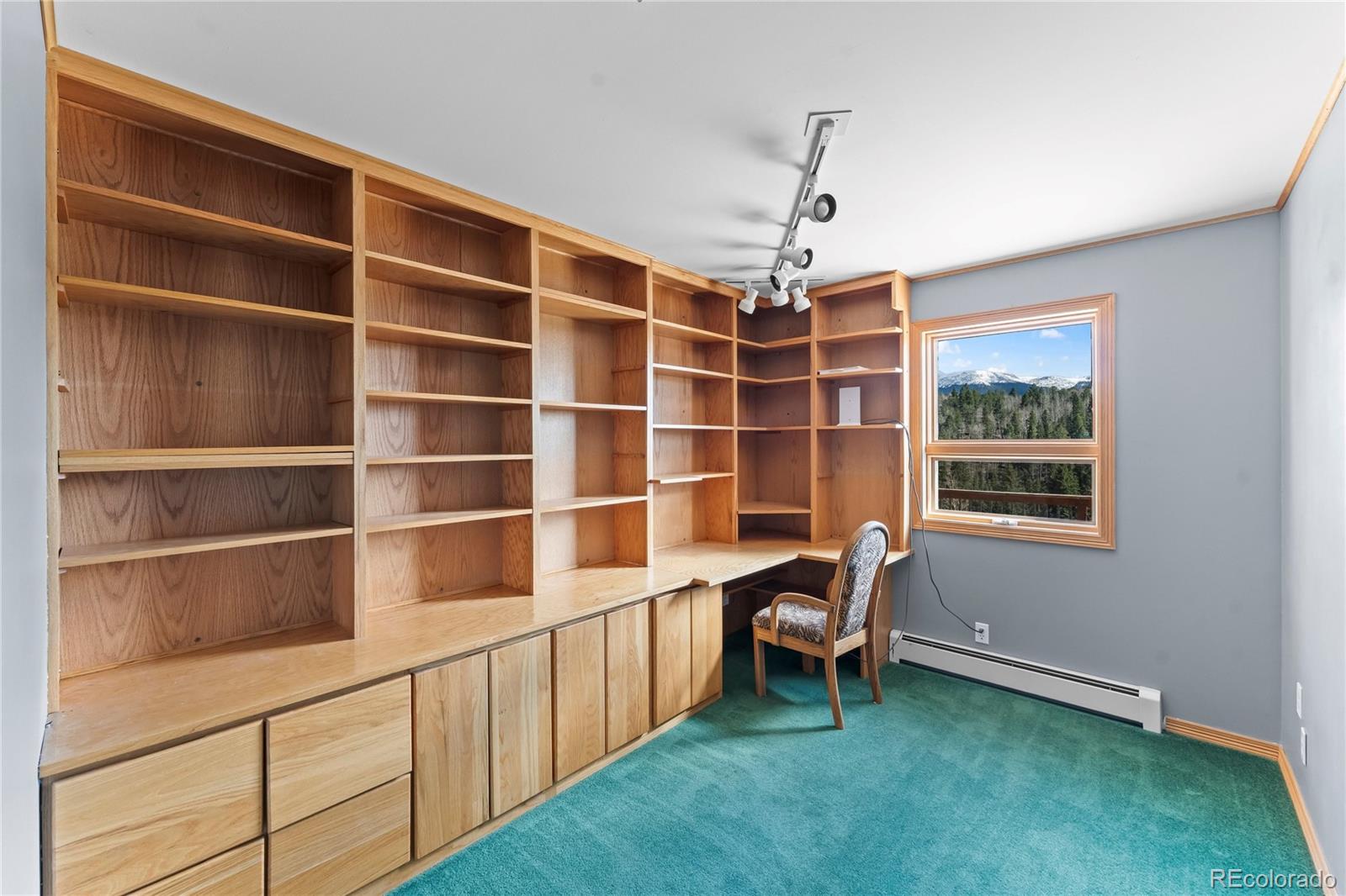 MLS Image #21 for 1008  cantiberry road,divide, Colorado