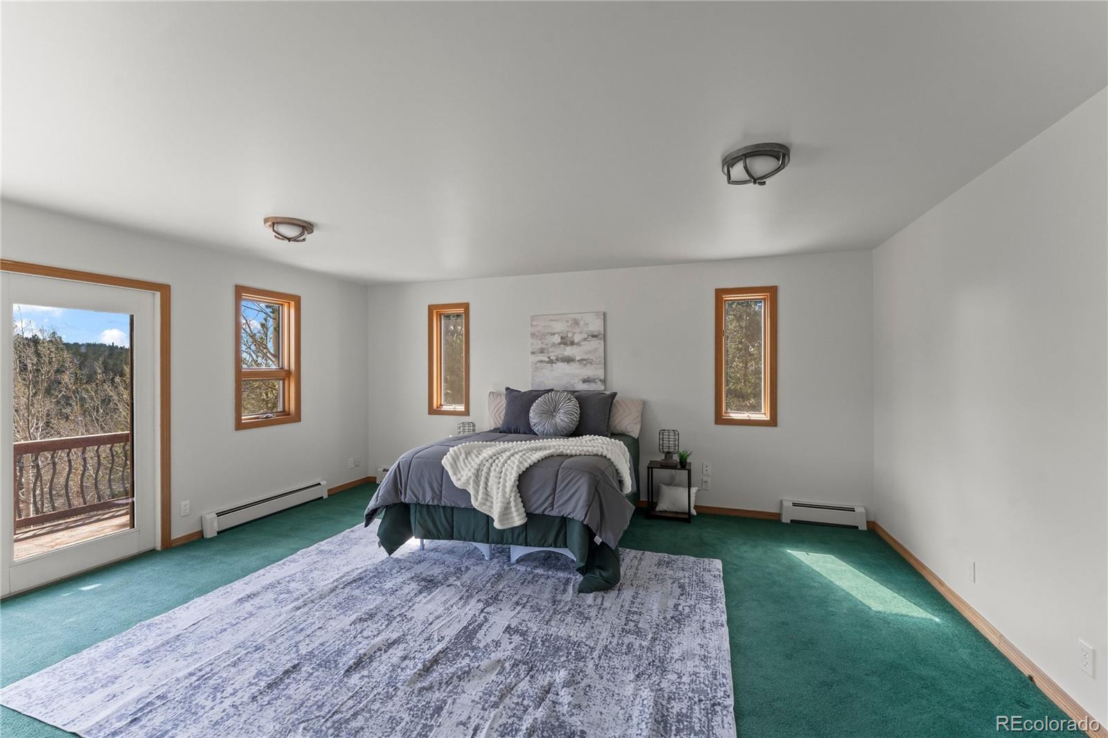 MLS Image #24 for 1008  cantiberry road,divide, Colorado