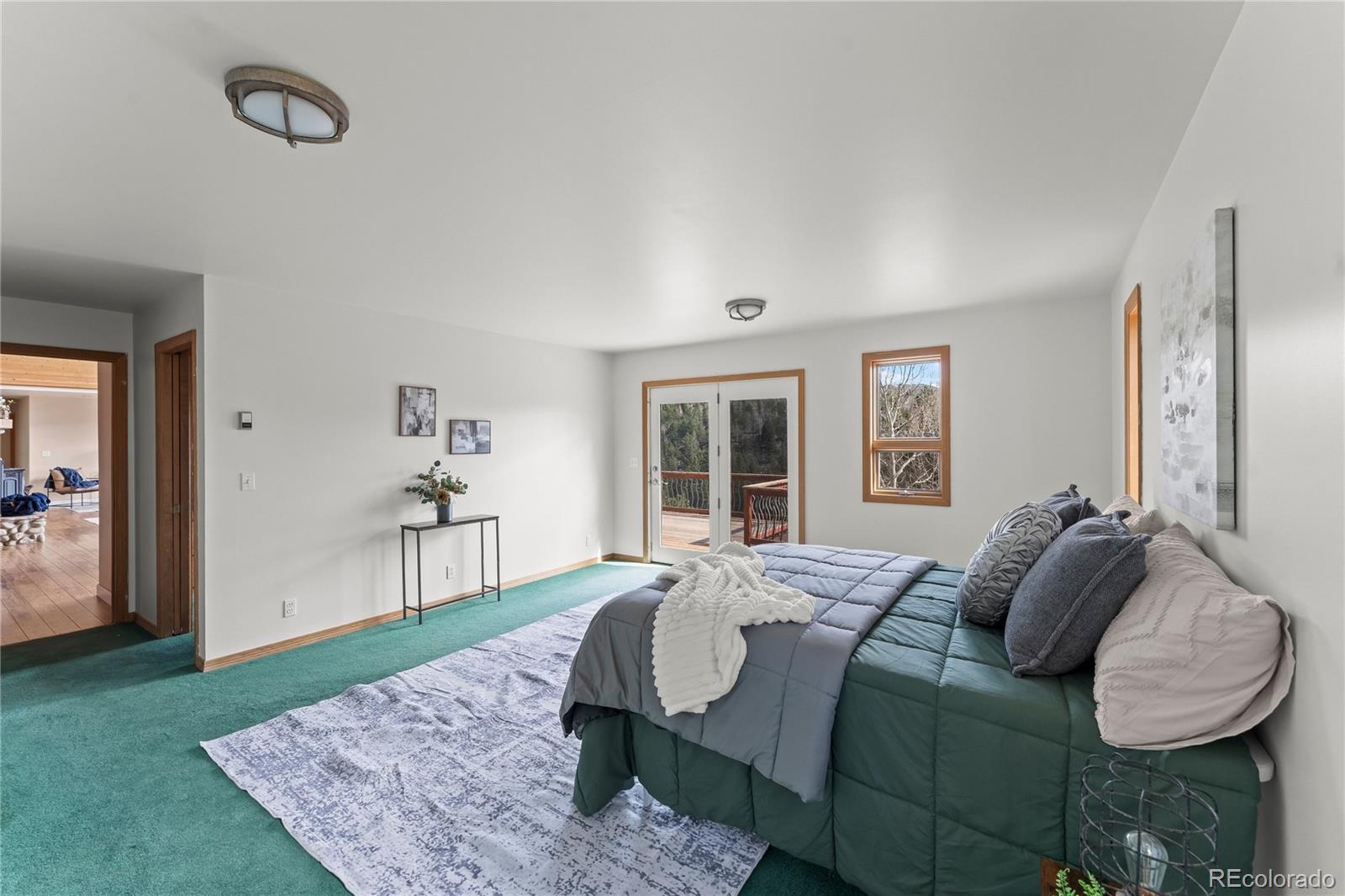 MLS Image #25 for 1008  cantiberry road,divide, Colorado