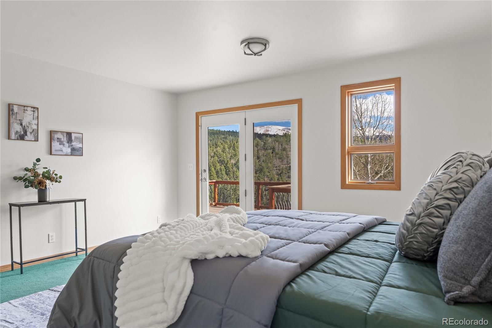 MLS Image #26 for 1008  cantiberry road,divide, Colorado