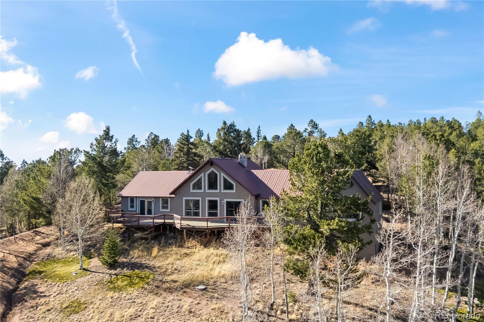MLS Image #3 for 1008  cantiberry road,divide, Colorado