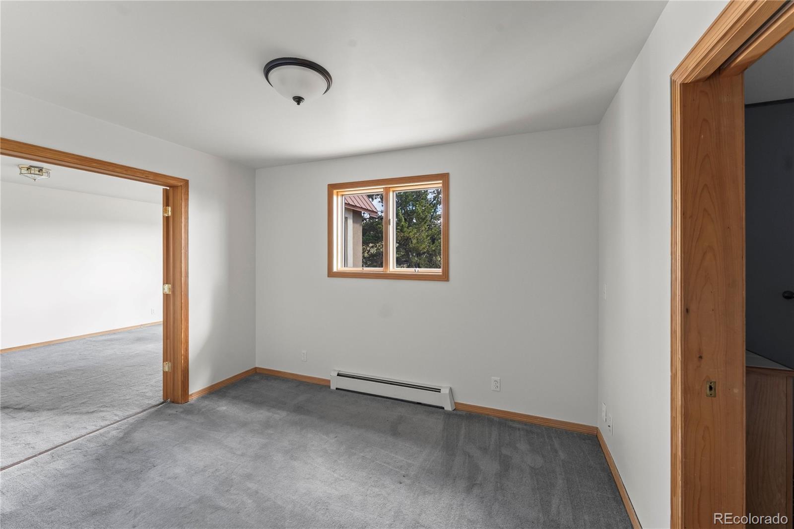MLS Image #33 for 1008  cantiberry road,divide, Colorado