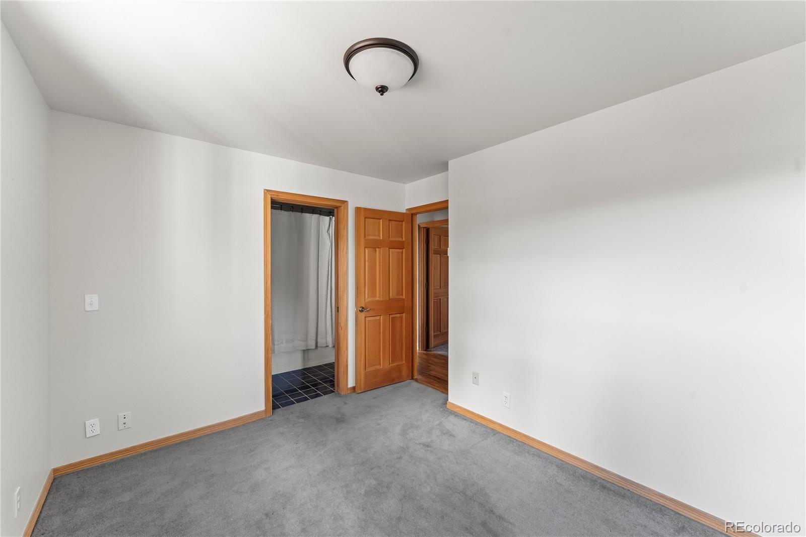 MLS Image #34 for 1008  cantiberry road,divide, Colorado