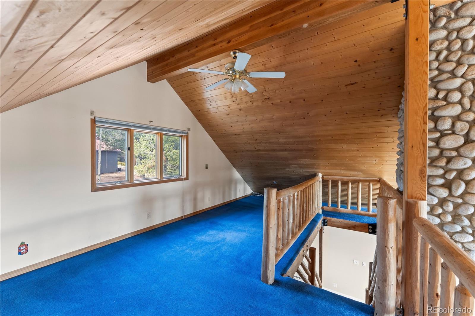 MLS Image #40 for 1008  cantiberry road,divide, Colorado
