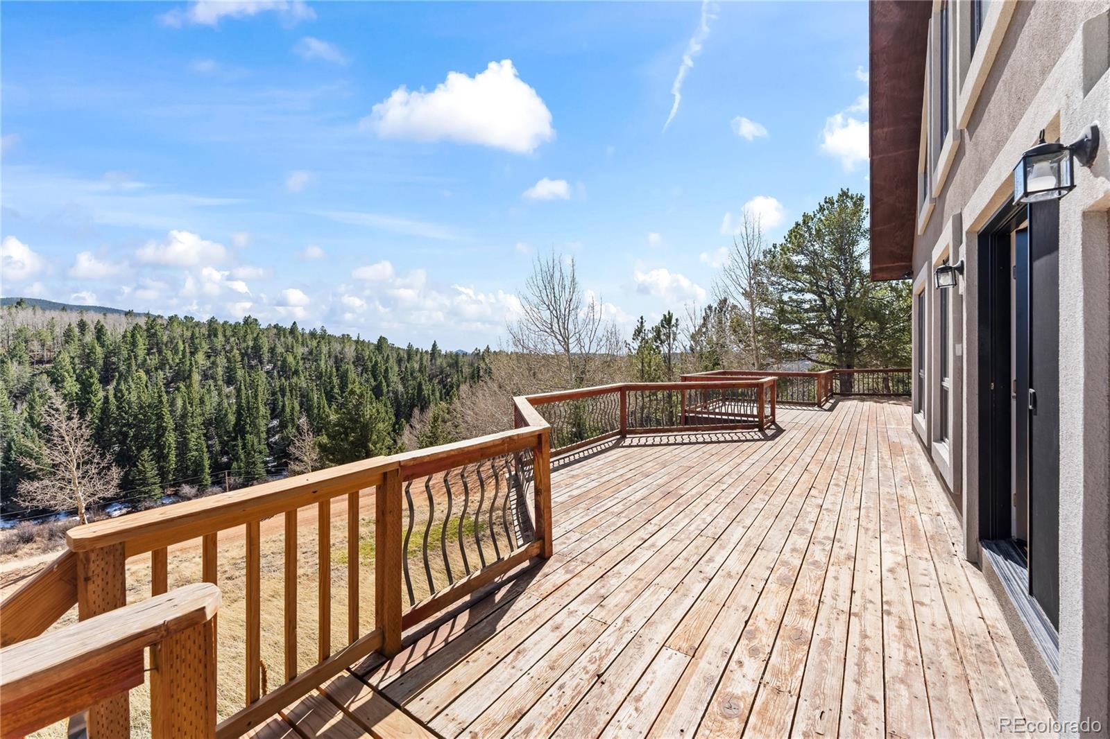 MLS Image #41 for 1008  cantiberry road,divide, Colorado