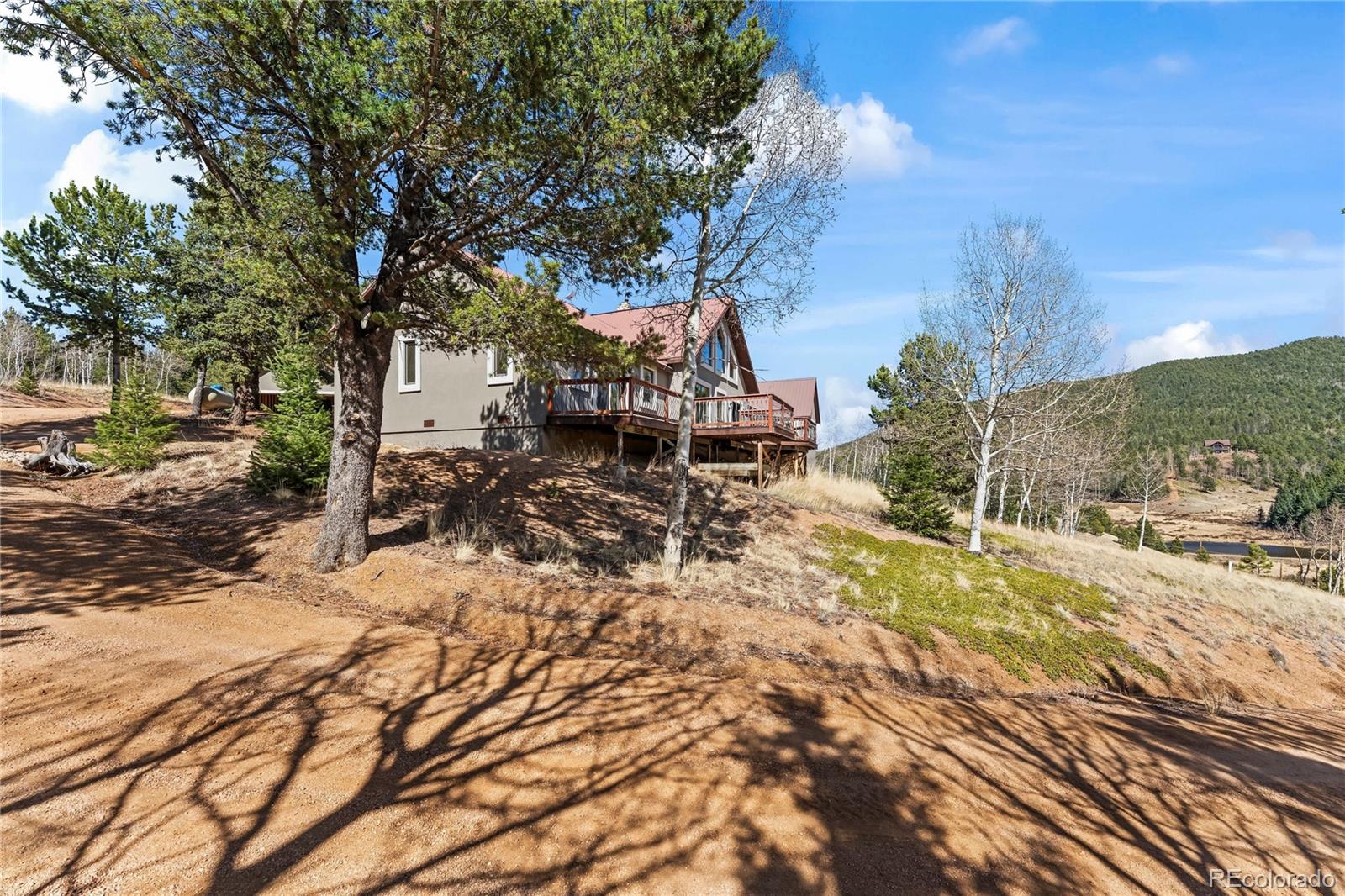 MLS Image #45 for 1008  cantiberry road,divide, Colorado