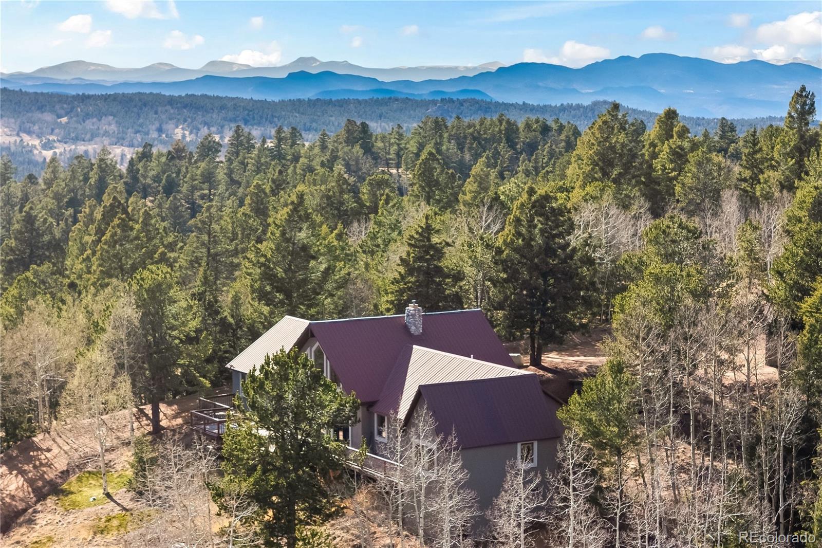 MLS Image #7 for 1008  cantiberry road,divide, Colorado