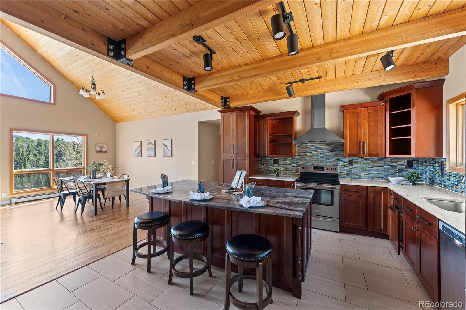 MLS Image #8 for 1008  cantiberry road,divide, Colorado