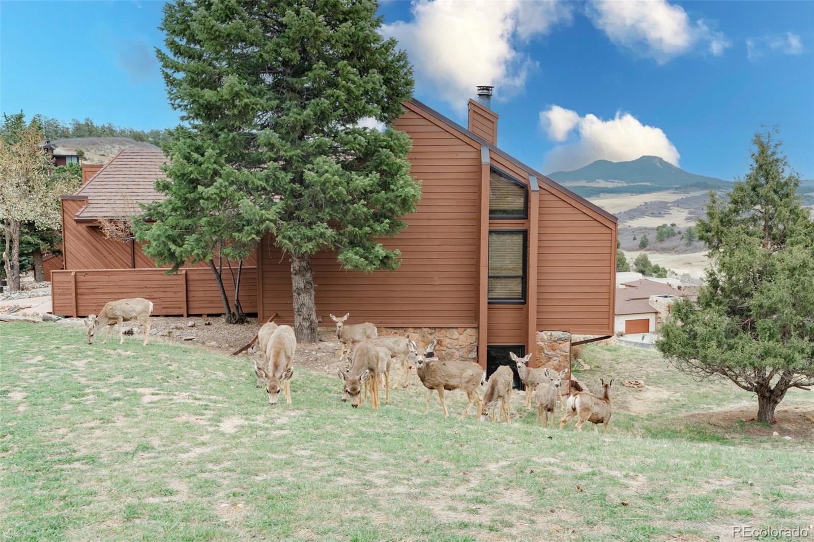 MLS Image #28 for 4452  sentinel rock  ,larkspur, Colorado