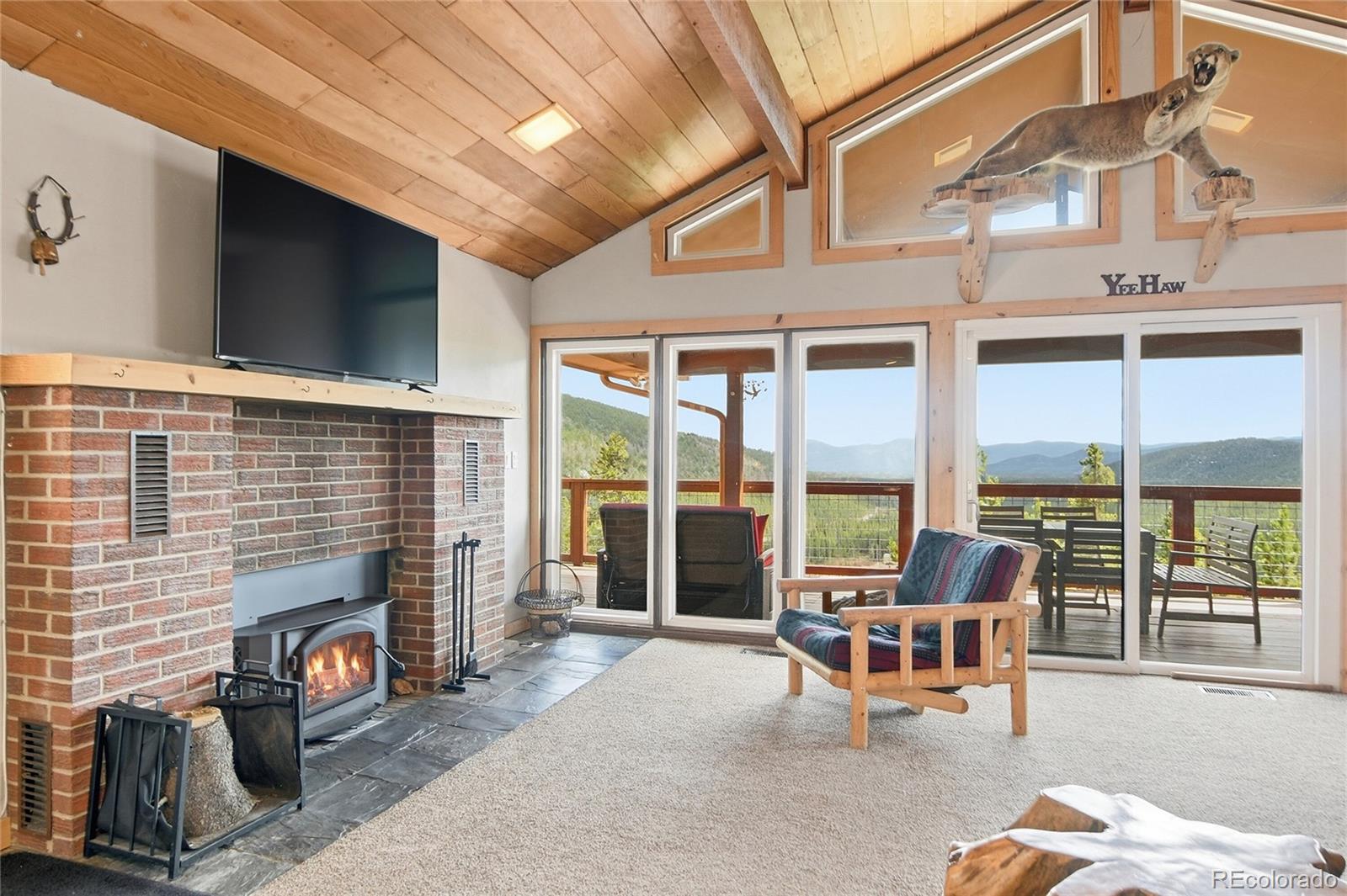 MLS Image #16 for 355  texas drive,idaho springs, Colorado