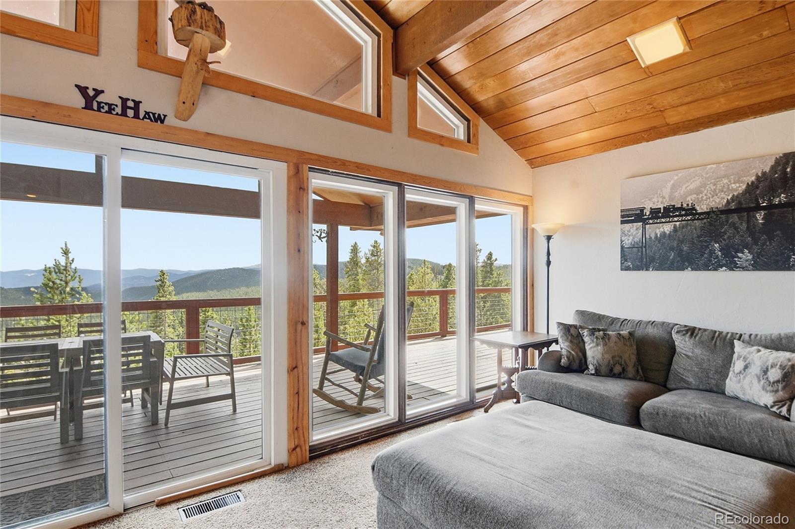 MLS Image #17 for 355  texas drive,idaho springs, Colorado