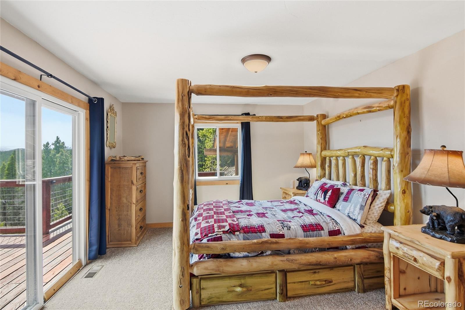 MLS Image #22 for 355  texas drive,idaho springs, Colorado