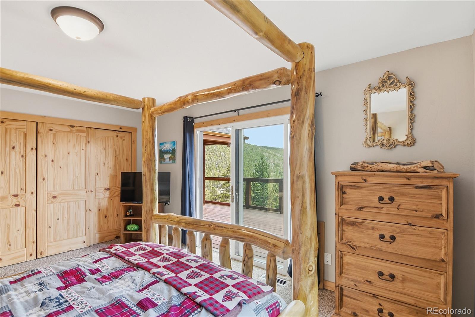 MLS Image #24 for 355  texas drive,idaho springs, Colorado
