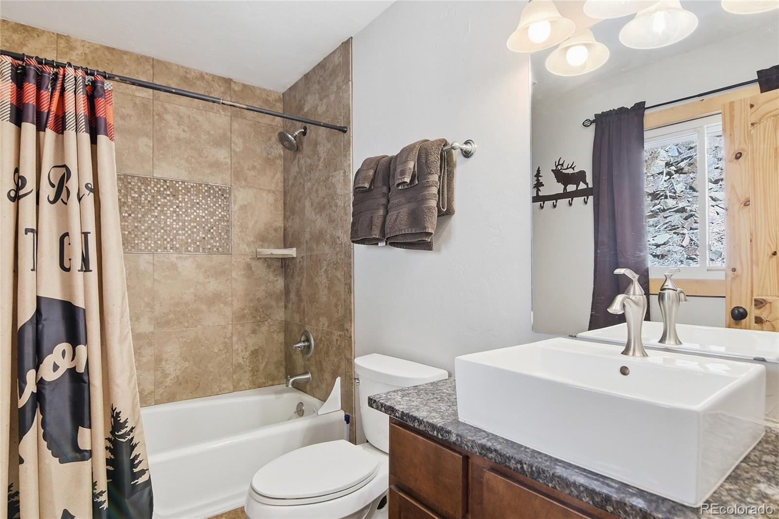 MLS Image #29 for 355  texas drive,idaho springs, Colorado
