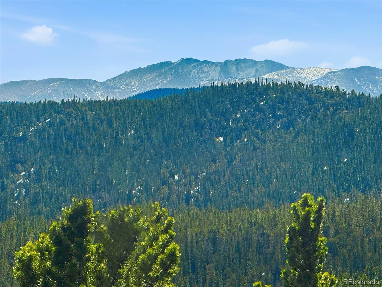 MLS Image #35 for 355  texas drive,idaho springs, Colorado