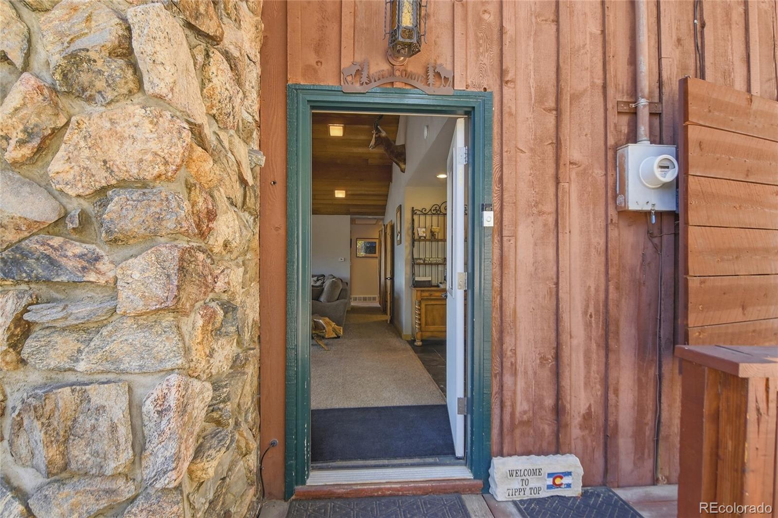 MLS Image #8 for 355  texas drive,idaho springs, Colorado
