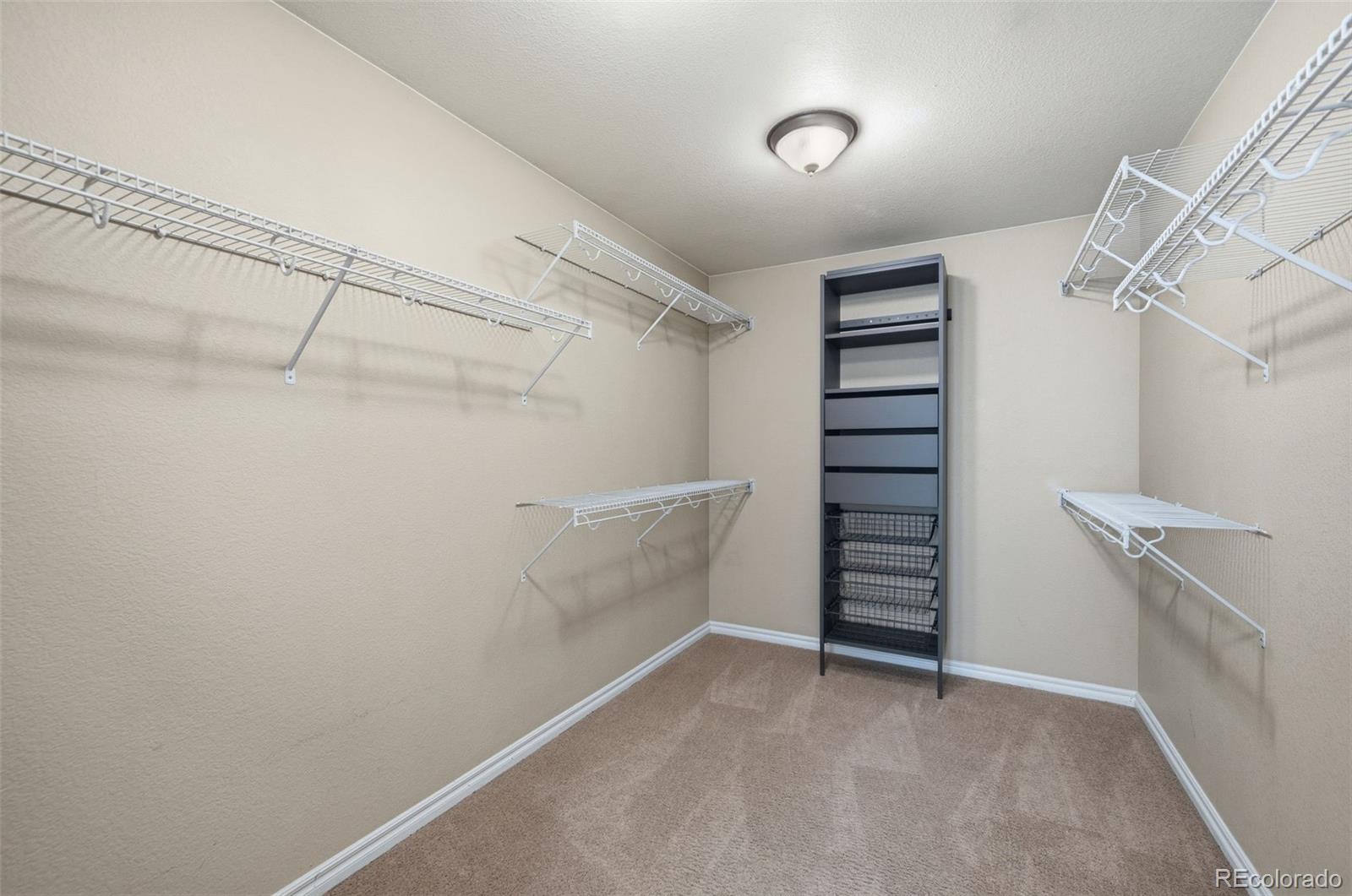 MLS Image #34 for 4749  nighthorse court,parker, Colorado