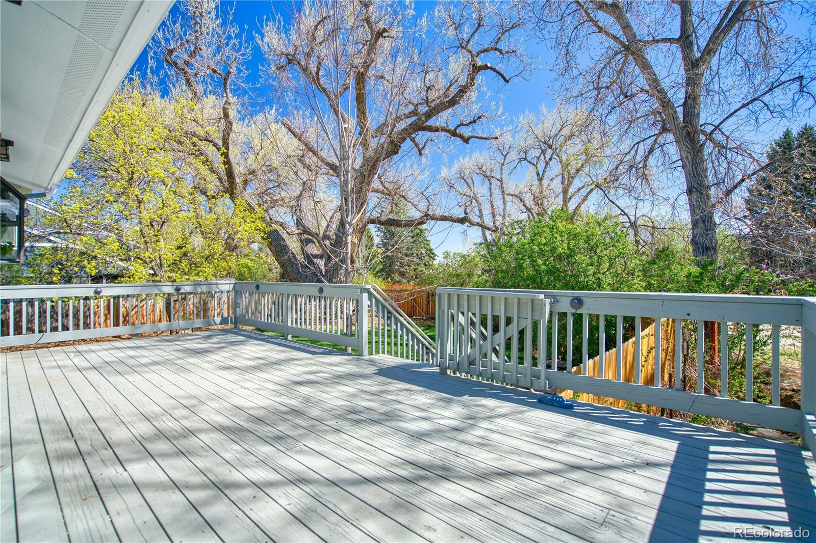 MLS Image #5 for 7216  timothy place,niwot, Colorado