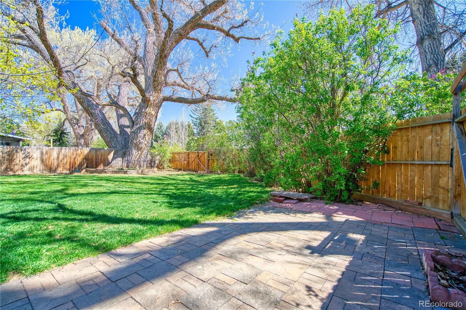 MLS Image #6 for 7216  timothy place,niwot, Colorado