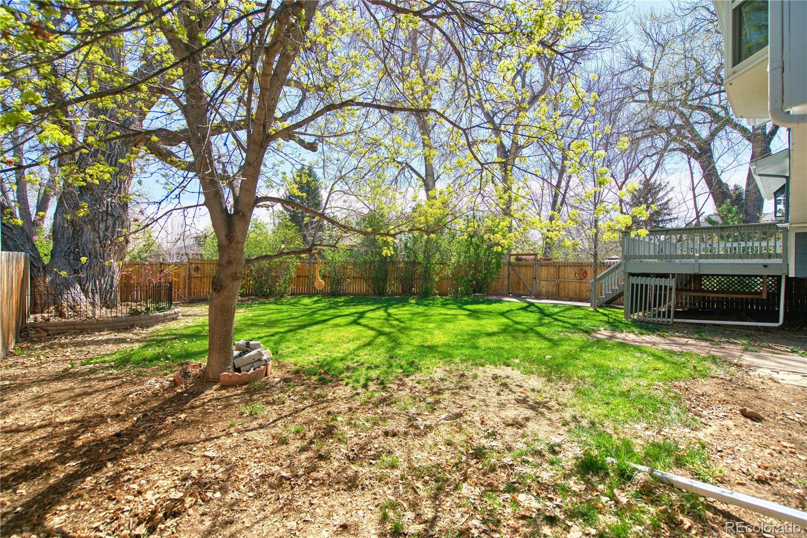 MLS Image #7 for 7216  timothy place,niwot, Colorado