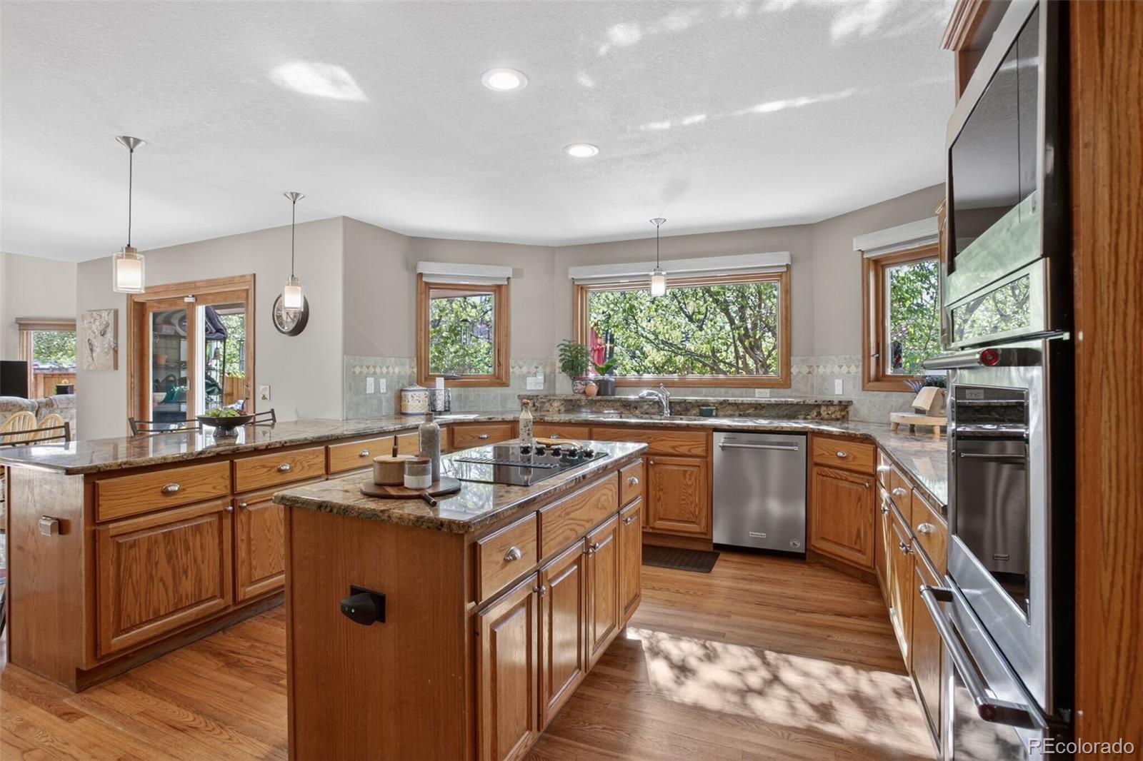 MLS Image #10 for 3231  arbutus street,golden, Colorado
