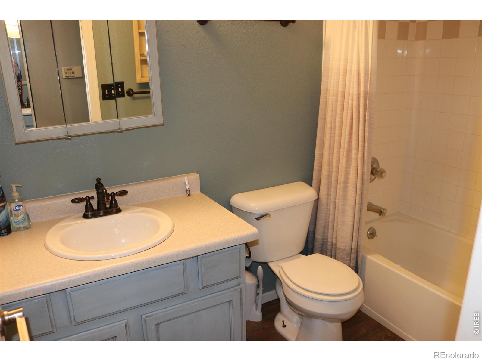 MLS Image #14 for 1005  glacier court,windsor, Colorado