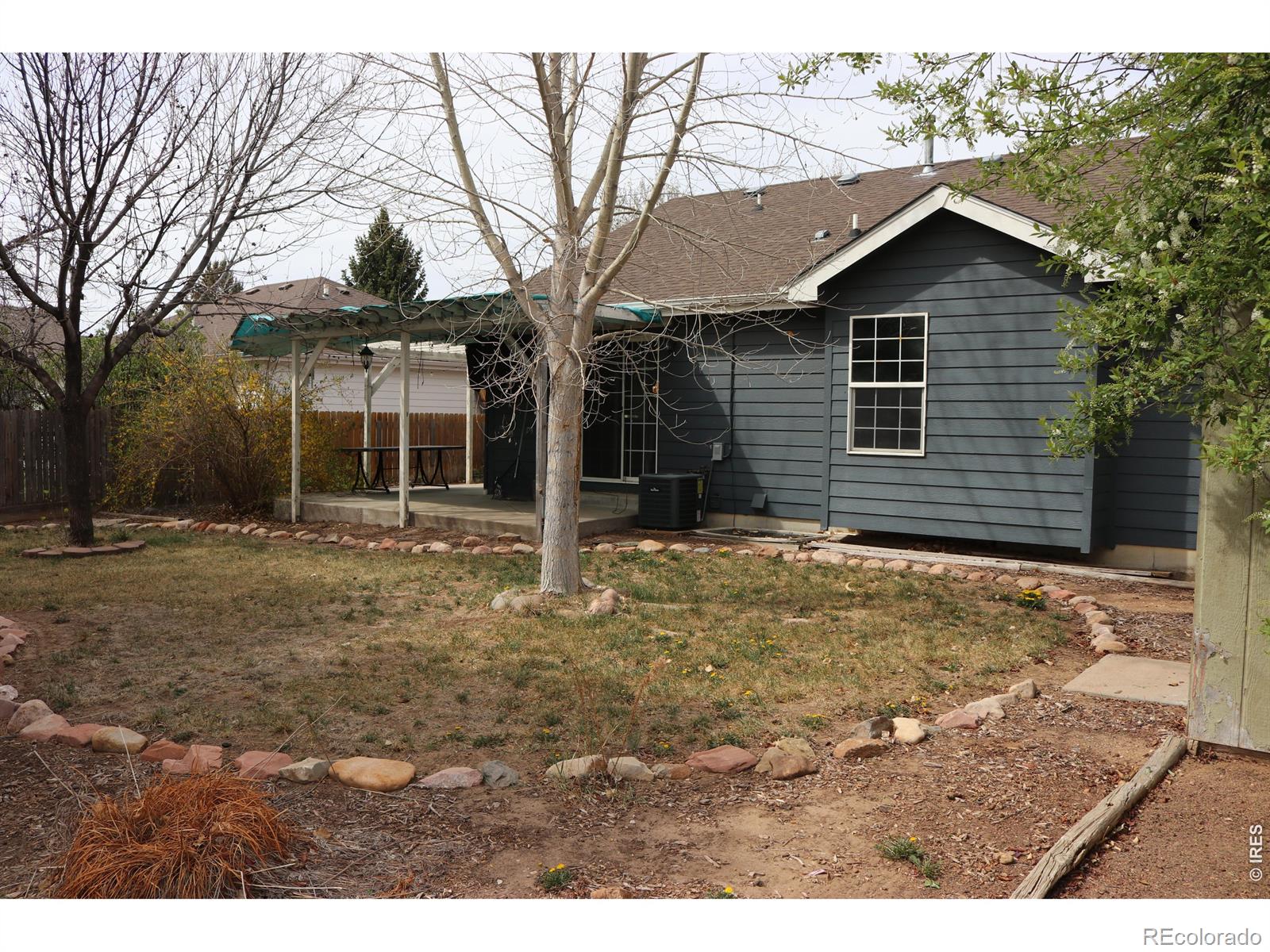 MLS Image #23 for 1005  glacier court,windsor, Colorado
