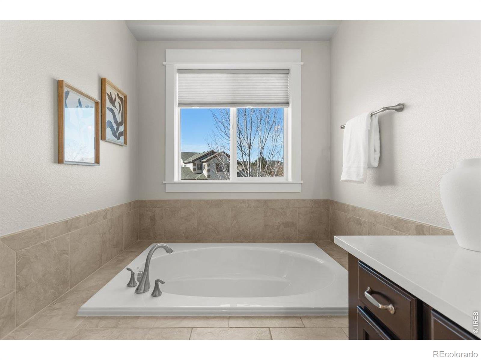 MLS Image #31 for 7027  ruidoso drive,windsor, Colorado
