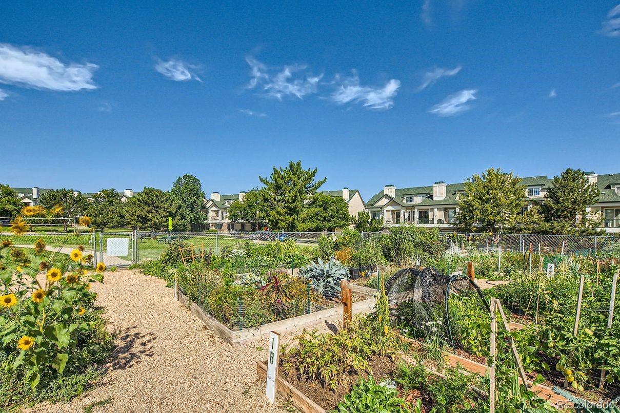 MLS Image #31 for 1843  mallard drive,superior, Colorado