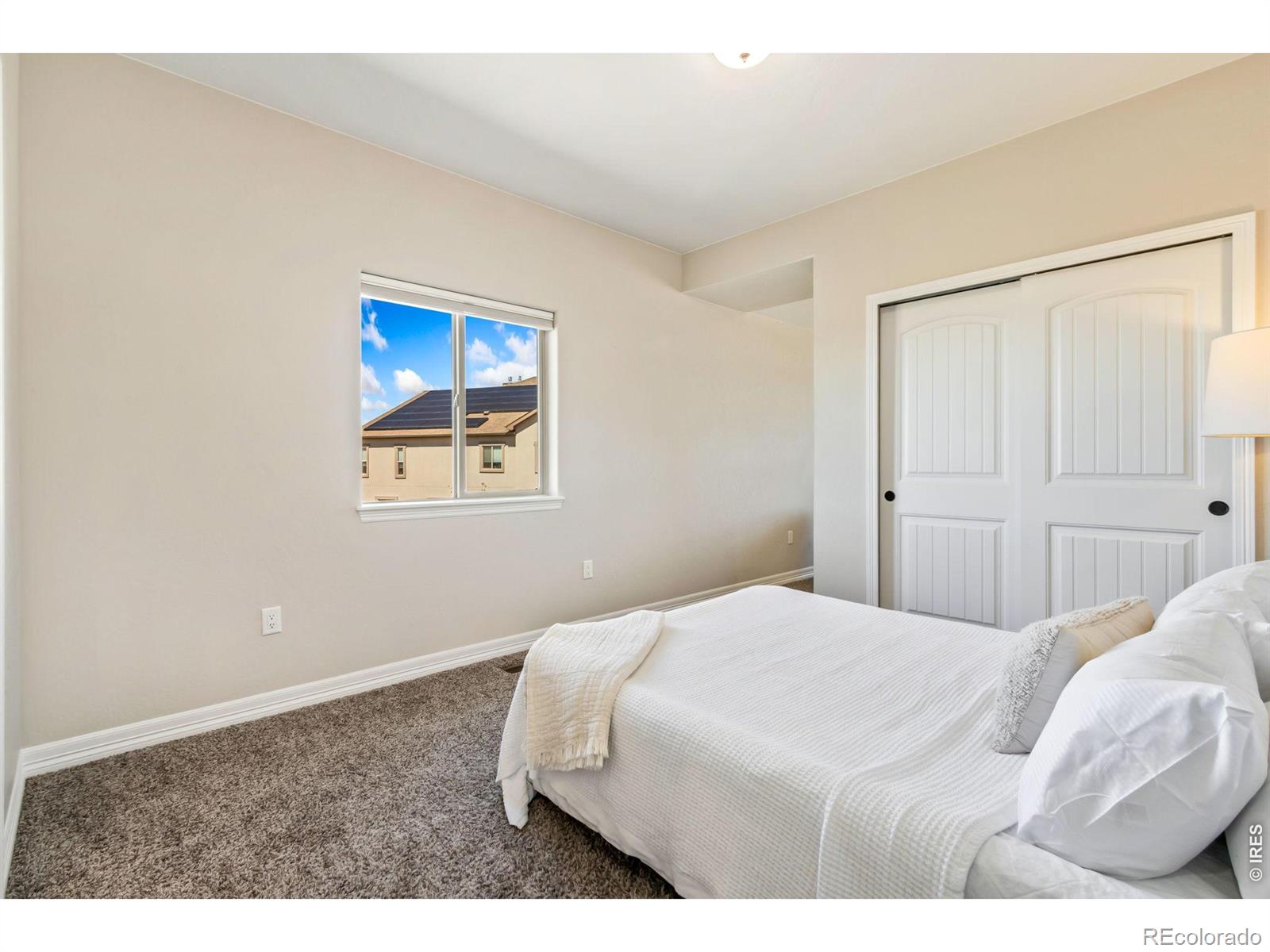 MLS Image #19 for 5531  teeling court,timnath, Colorado