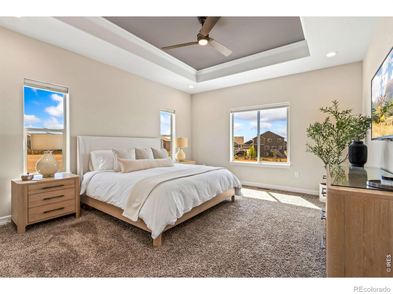 MLS Image #22 for 5531  teeling court,timnath, Colorado