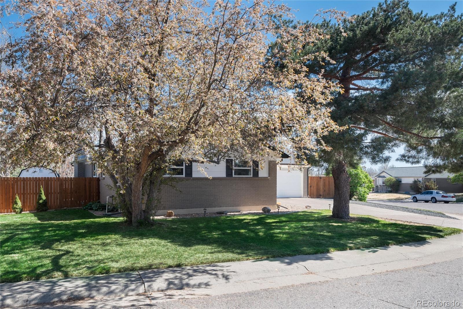 MLS Image #3 for 11340  marion street,northglenn, Colorado
