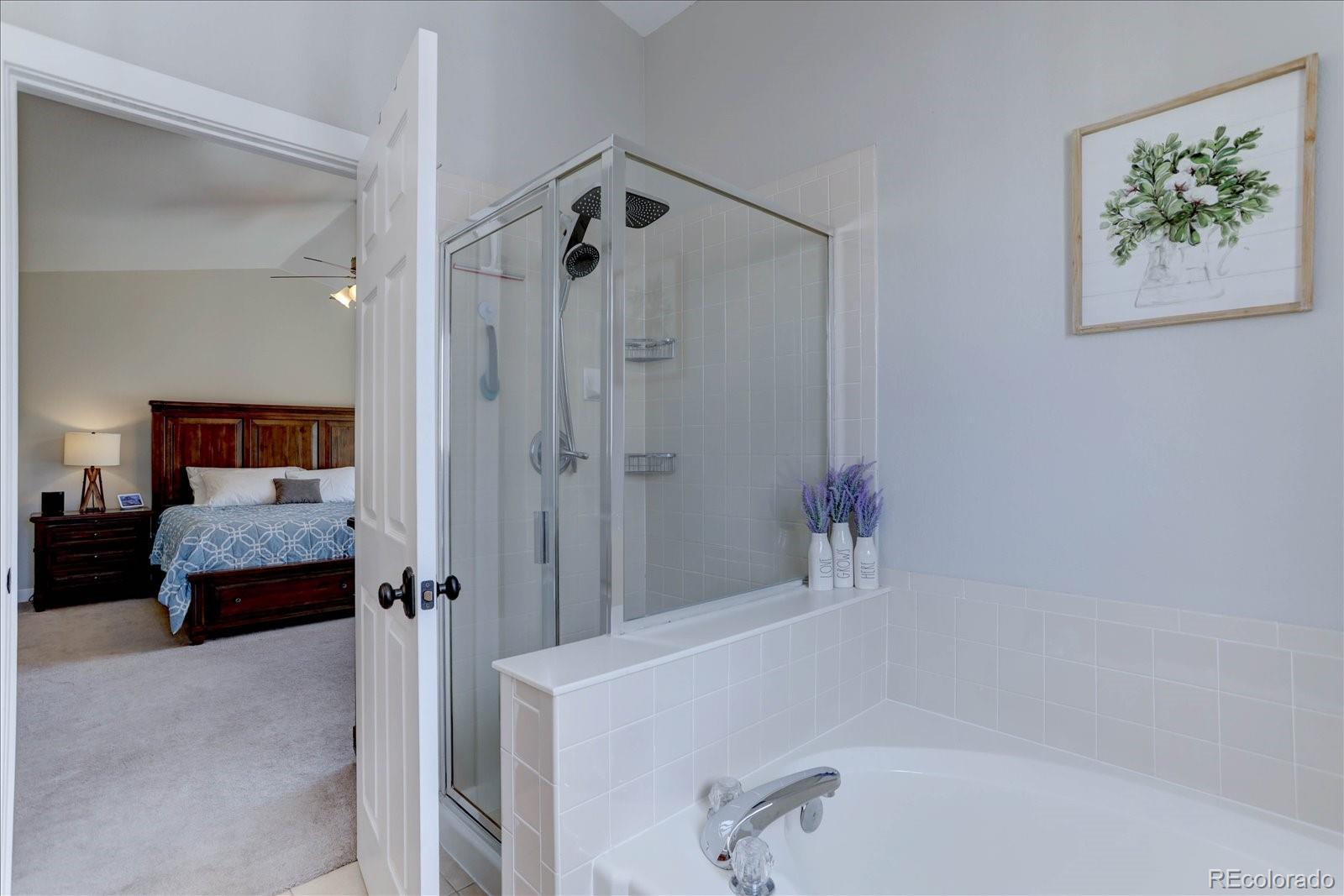 MLS Image #18 for 21862  whirlaway avenue,parker, Colorado