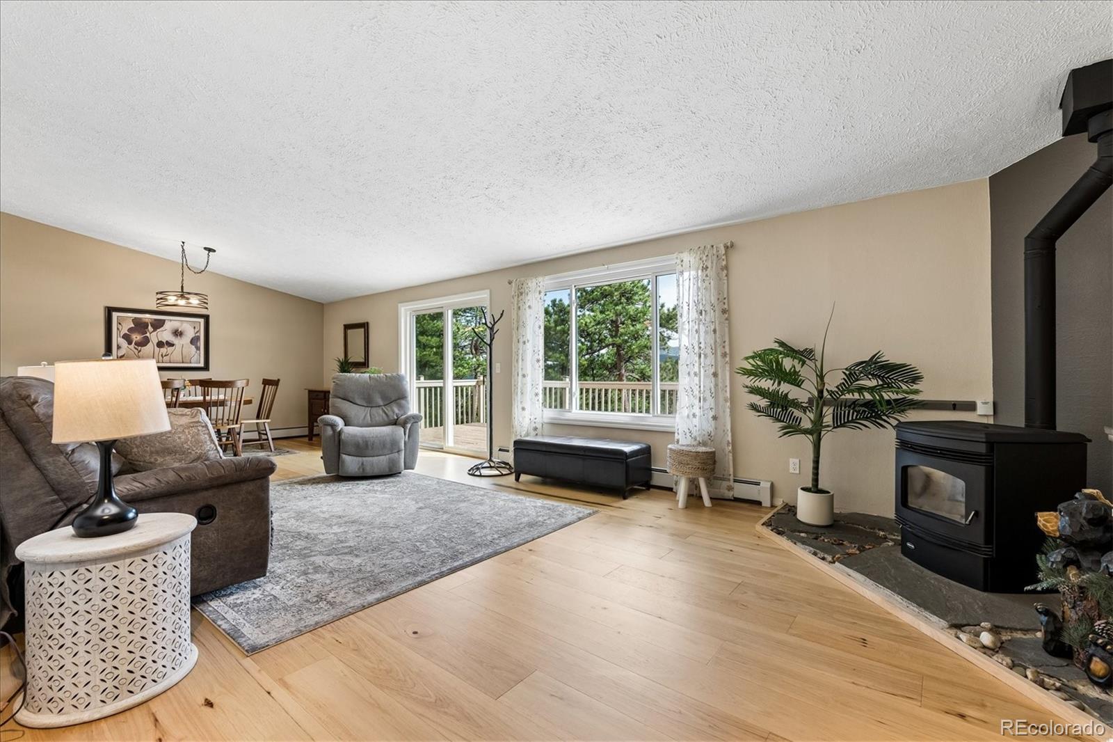 MLS Image #10 for 166  hummingbird lane,golden, Colorado