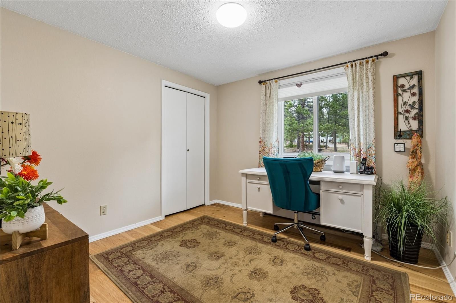 MLS Image #19 for 166  hummingbird lane,golden, Colorado