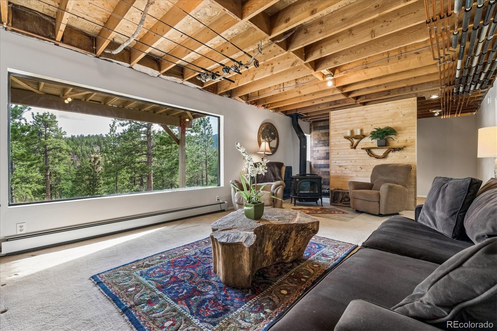 MLS Image #23 for 166  hummingbird lane,golden, Colorado