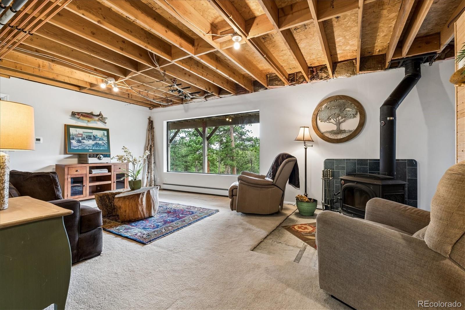 MLS Image #31 for 166  hummingbird lane,golden, Colorado
