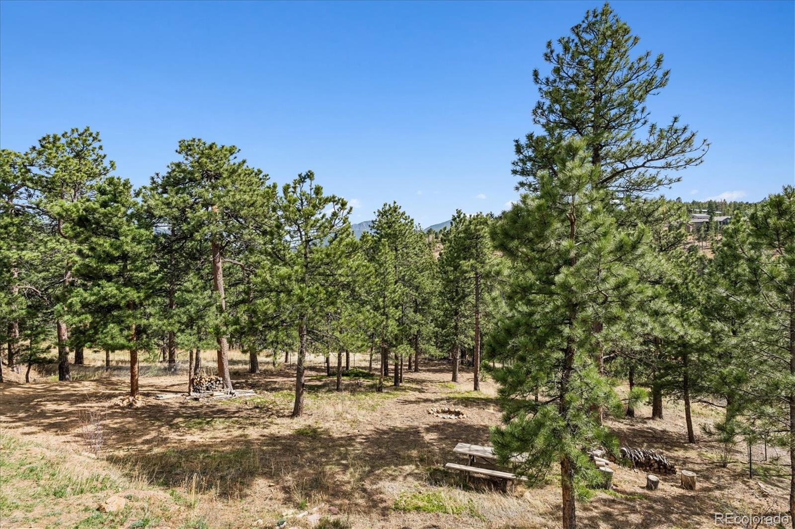 MLS Image #36 for 166  hummingbird lane,golden, Colorado