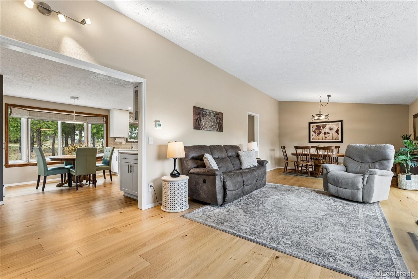 MLS Image #8 for 166  hummingbird lane,golden, Colorado