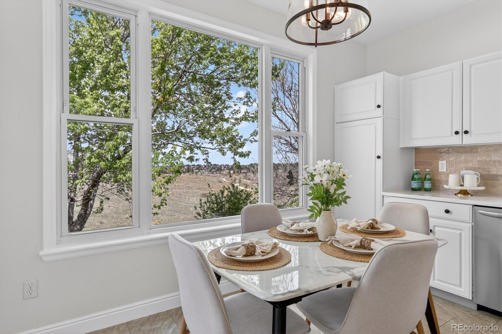MLS Image #14 for 2445  lansdowne court,highlands ranch, Colorado