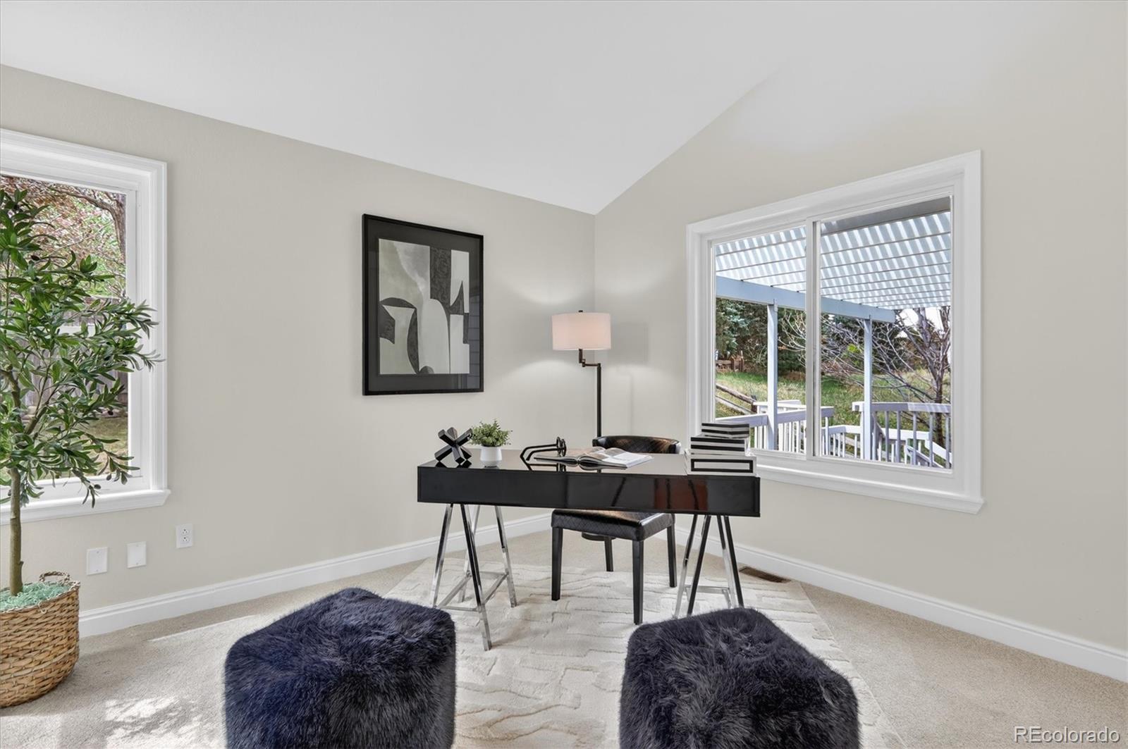 MLS Image #19 for 2445  lansdowne court,highlands ranch, Colorado