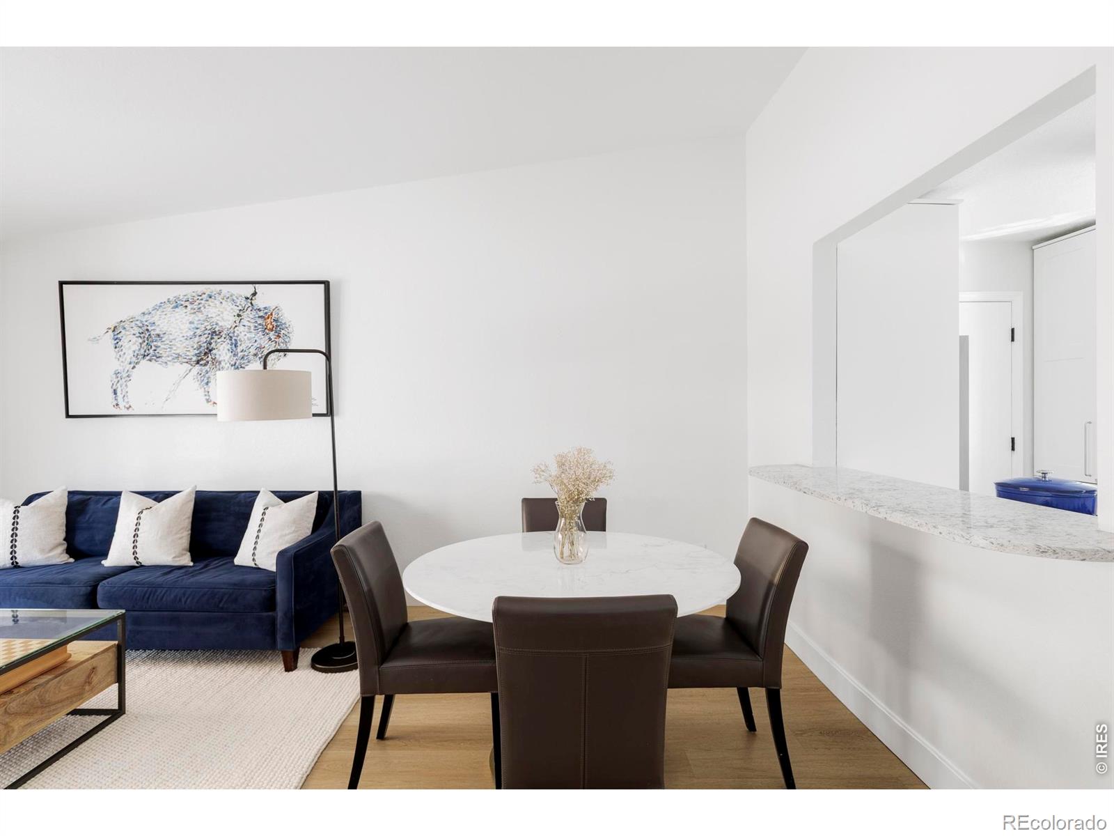 MLS Image #10 for 141 s washington avenue,louisville, Colorado