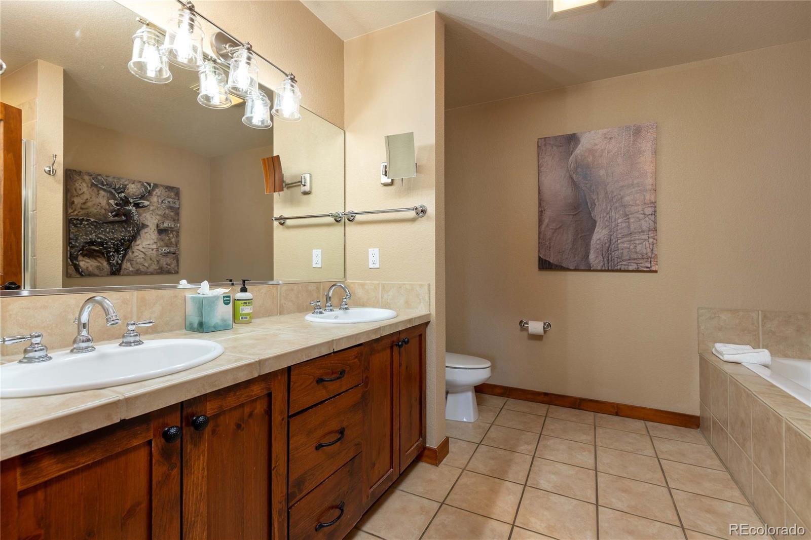 MLS Image #14 for 505 s main street 2206,breckenridge, Colorado