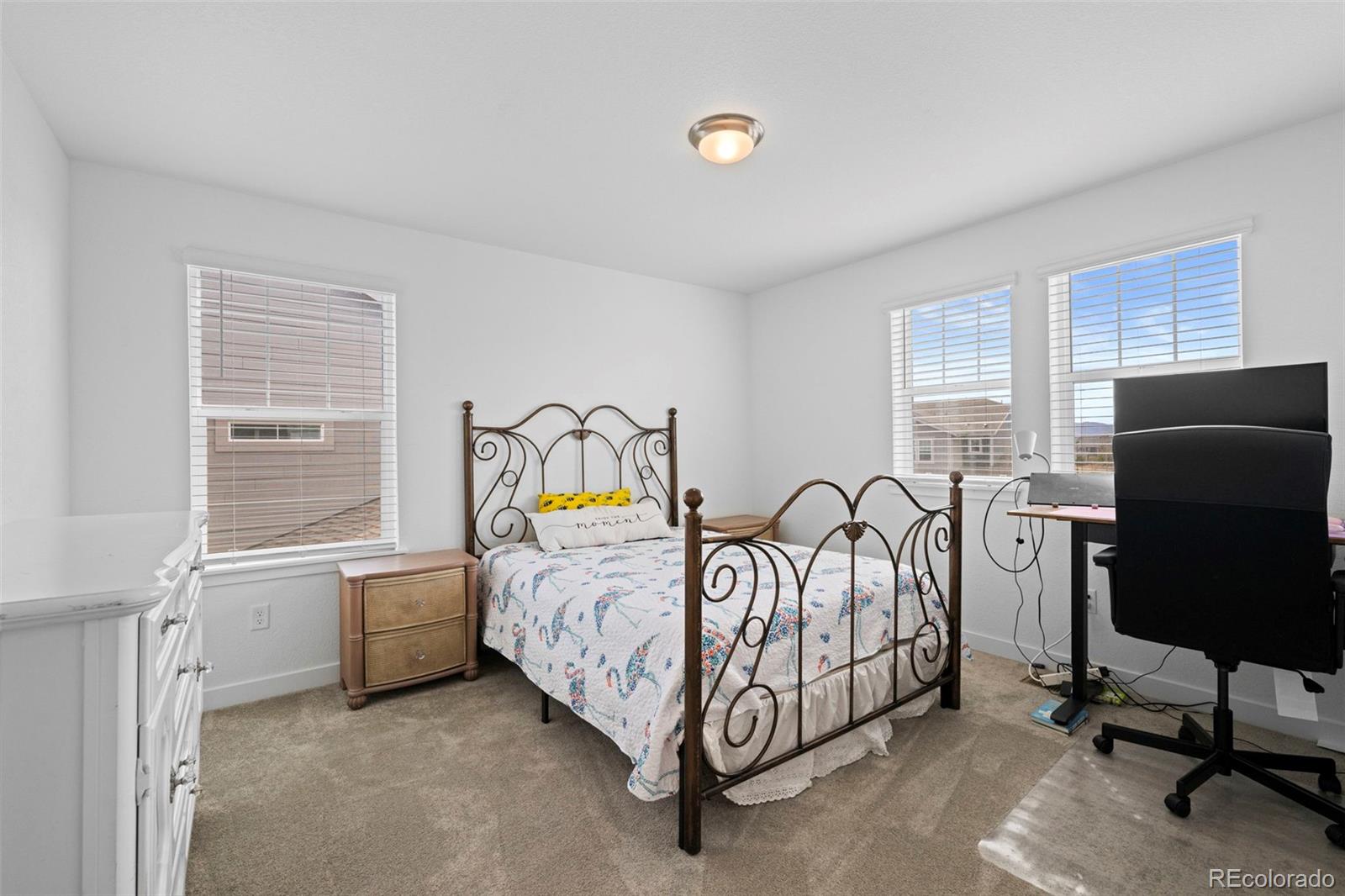 MLS Image #18 for 5218  inland avenue,firestone, Colorado